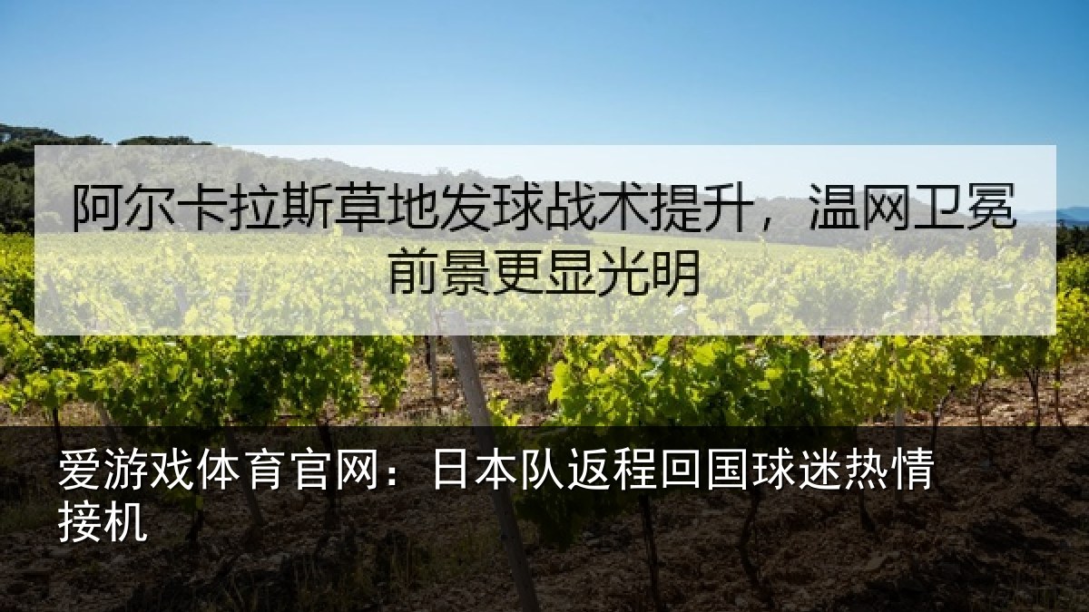爱游戏体育官网：日本队返程回国球迷热情接机