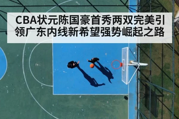 basketball court action