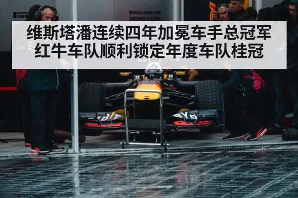 Red Bull Racing pit stop
